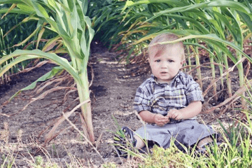 2024年給小孩取名字女生:叫馨什么好聽呢?