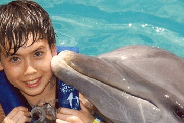 2024年起名大全免費測名網